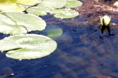 20180602_143916