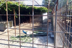 20180602_173751
