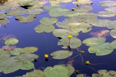 20180602_174108