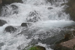IMG-20191214-WA0003
