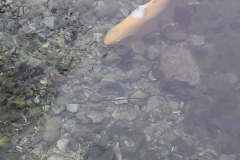 IMG-20191214-WA0004